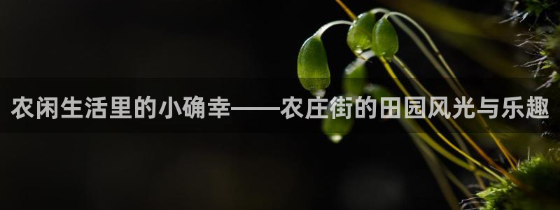 fh至尊冻结：农闲生活里的小确幸——农庄街的田园风光与乐趣