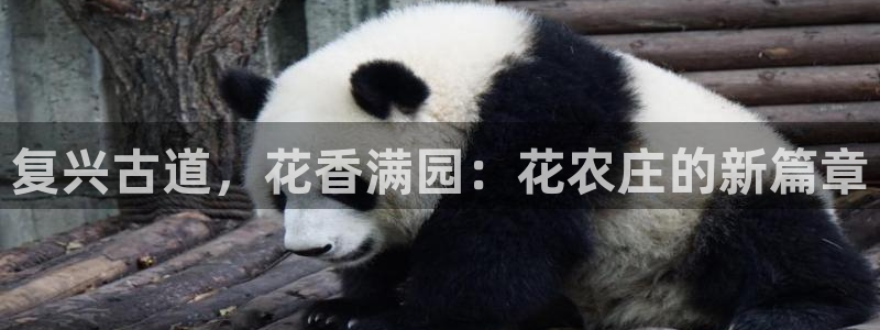 fh至尊在哪个平台