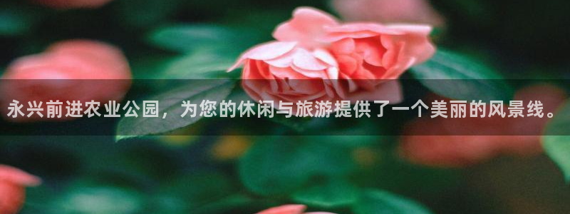 FH至尊黑