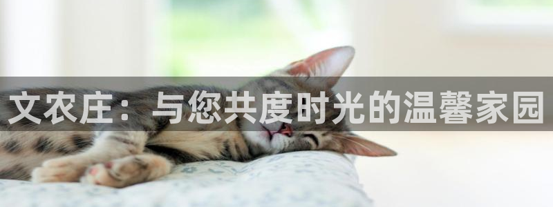 FH至尊黑