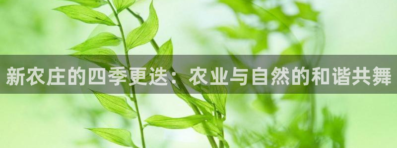 fh至尊平台怎么提现