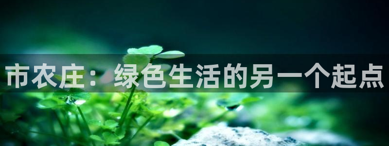 fh至尊平台坑人的原因