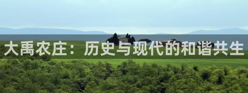 FH至尊黑钱
