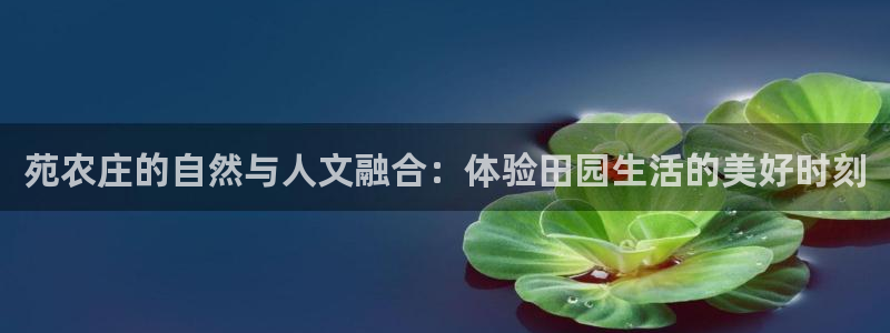 FH至尊官方入口