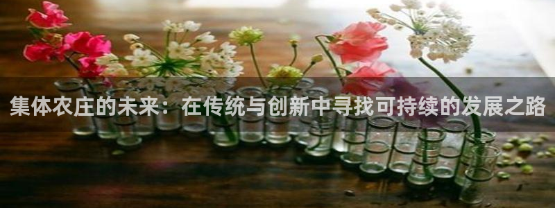fh至尊是什么平台