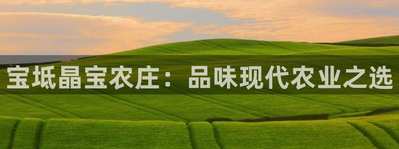 FH至尊是什么