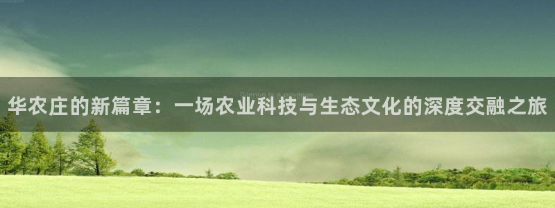 fh至尊20