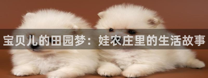 fh至尊代理