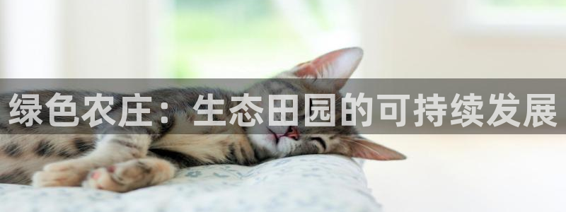 fh至尊官方网站
