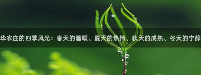 fh至尊是老凤凰平台吗