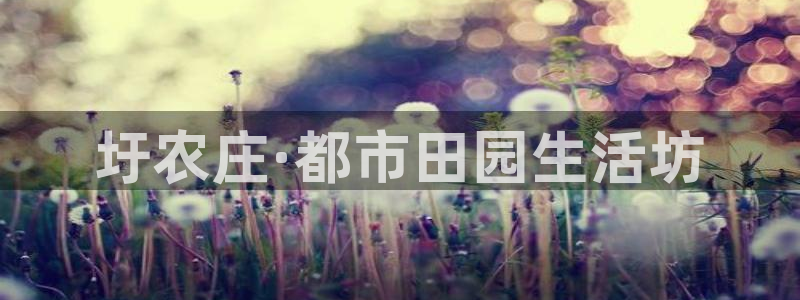 FH至尊怎么样