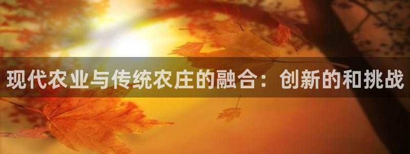 FH至尊app下载