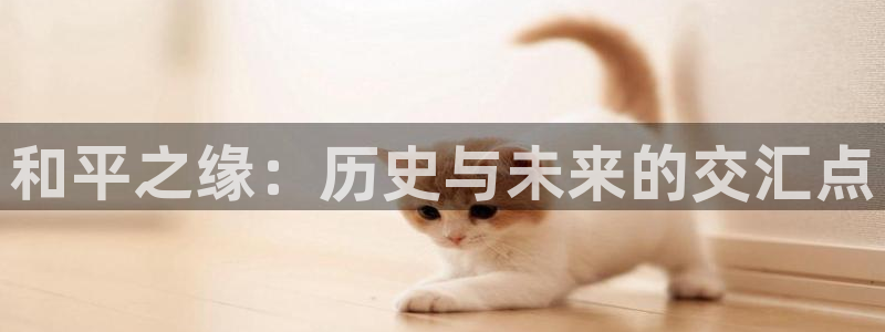 FH至尊公安
