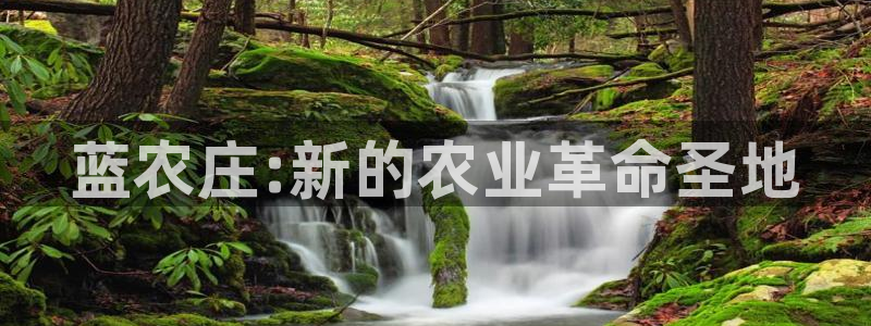 至尊FH下载