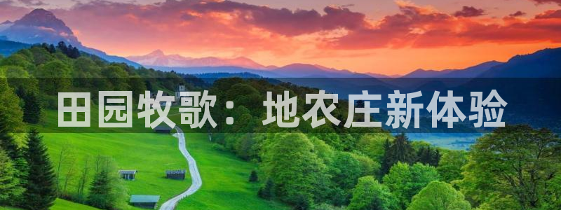 fh至尊是老凤凰平台么
