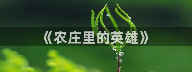 fh至尊多少年了