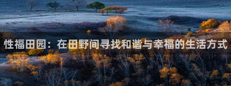 FH至尊下载