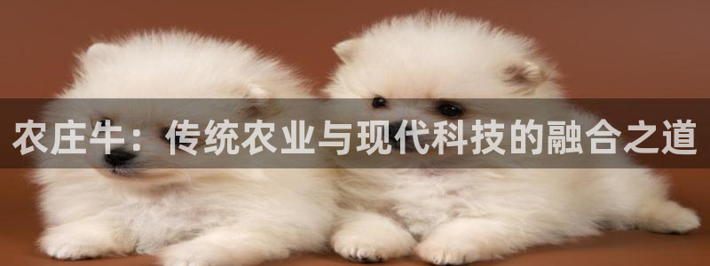fh至尊版手机app
