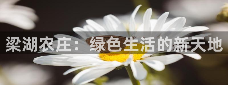至尊天龙fh7075