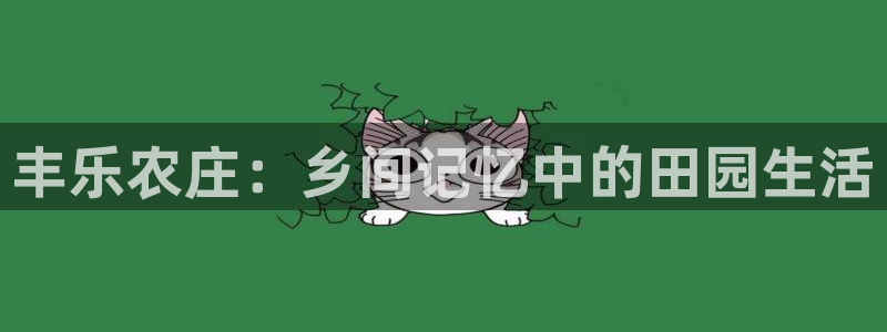 FH至尊是什么