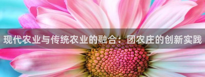 至尊FH平台