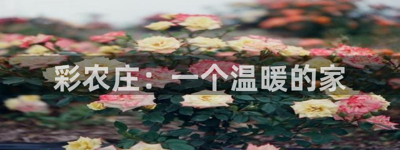 fh至尊app靠谱吗