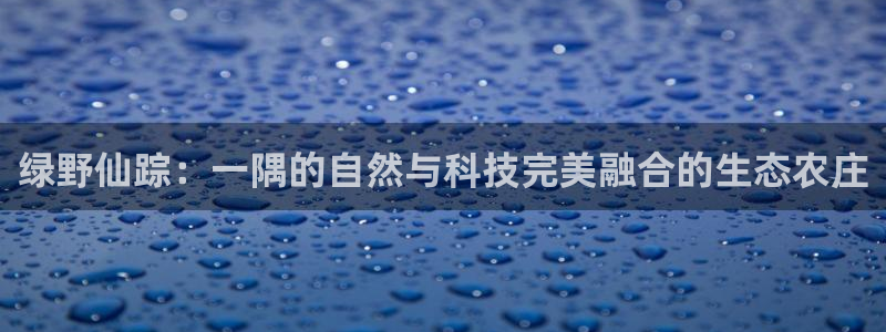 FH至尊出问题了