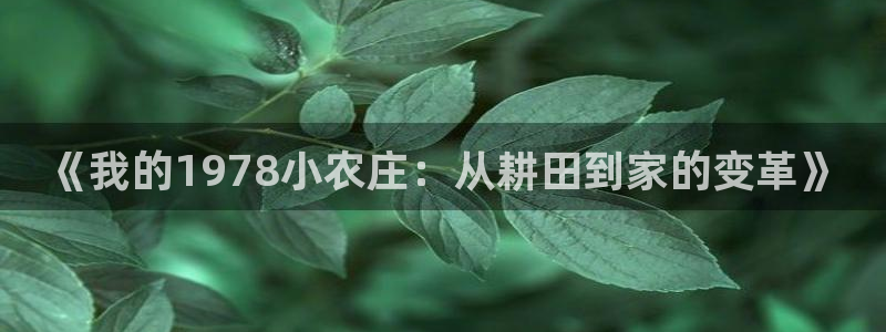 fh至尊凤凰是黑网