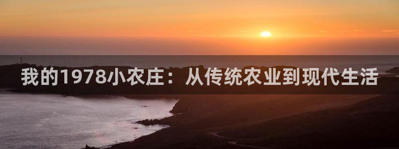 fh至尊是什么牌子