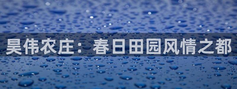 至尊FH平台
