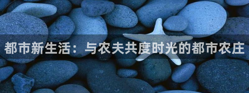 至尊FH平台