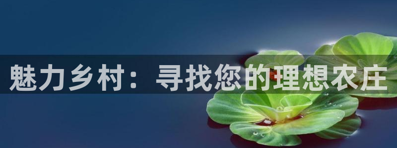 fh至尊黑不黑