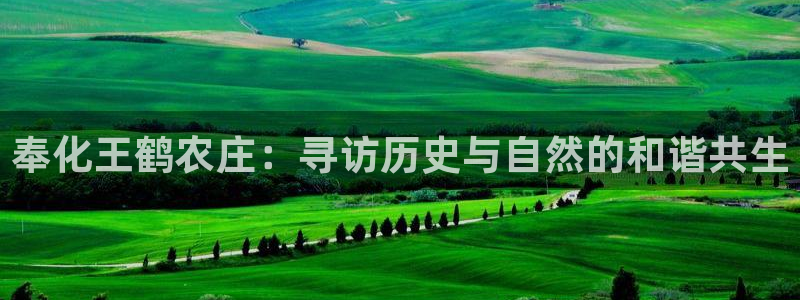 fh至尊官方网站