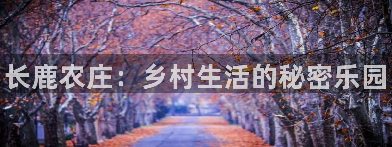 FH至尊平台是什么平台