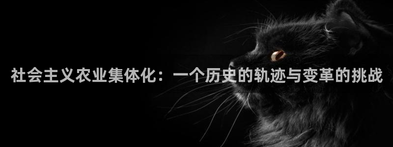 至尊FH