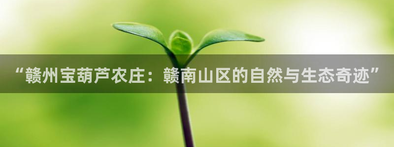 fh至尊网页登入