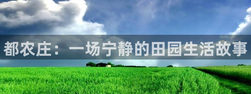 fh至尊凤凰代理