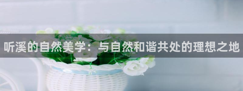 fh至尊平台简介
