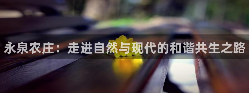 FH至尊平台怎样