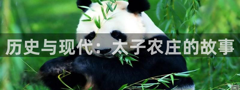 fh至尊正规吗