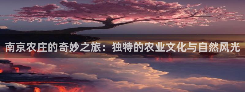fh至尊品牌介绍