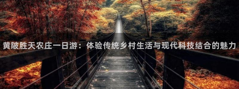 FH至尊黑钱