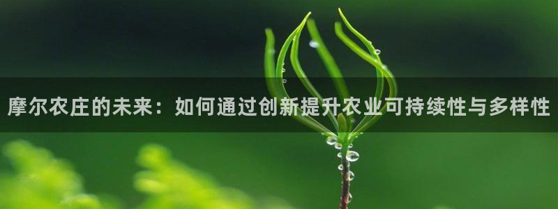 fh至尊正规吗