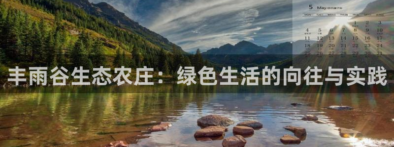 fh至尊代理