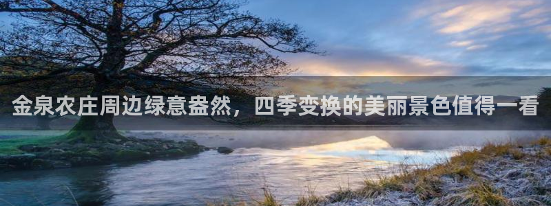 FH至尊平台怎么样
