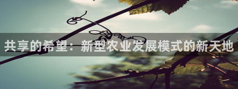 fh至尊官方旗舰店
