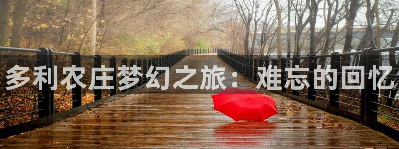 fh至尊闪退