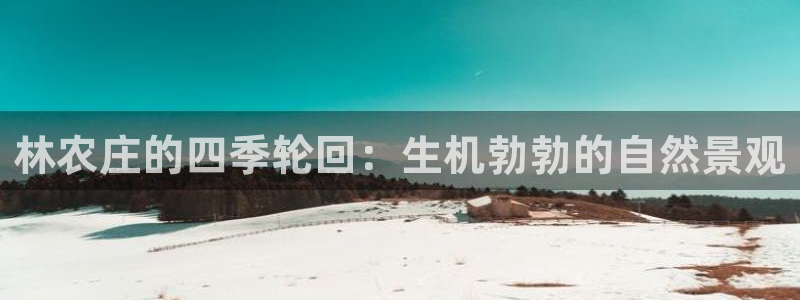 FH至尊公安