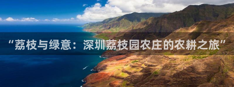 凤凰FH至尊