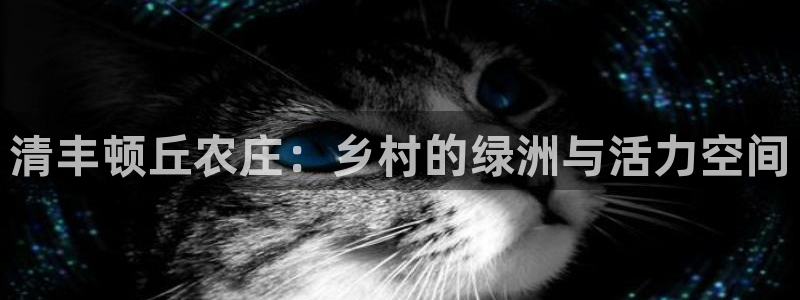 FH至尊黑
